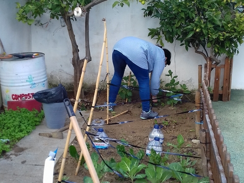 Semeando com o grupo de jardim de infância